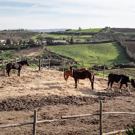 Fontelupa Farm stay